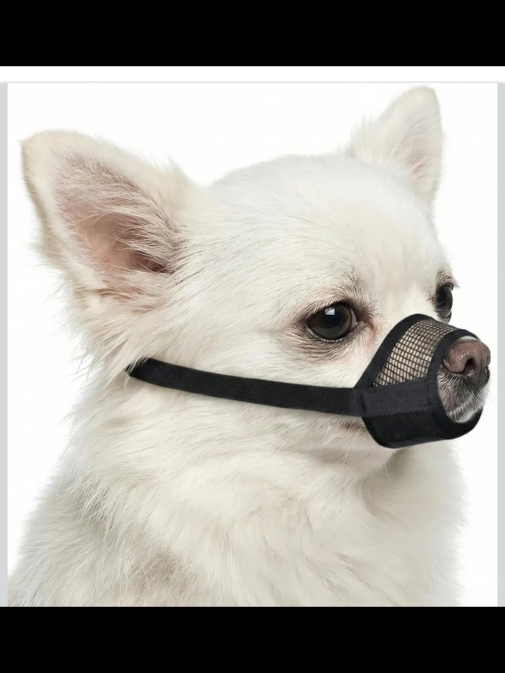Soft Air Mesh XS Dog Muzzle for Small Dogs Size XS
